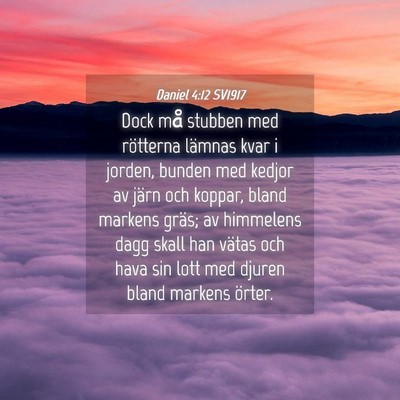 Picture 04 - Daniel 4:12 SV1917 - Dock må stubben med rötterna lämnas kvar i - Bible Verse Picture