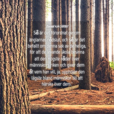 Picture 04 - Daniel 4:14 SV1917 - Så är det förordnat genom änglarnas rådslut, - Bible Verse Picture
