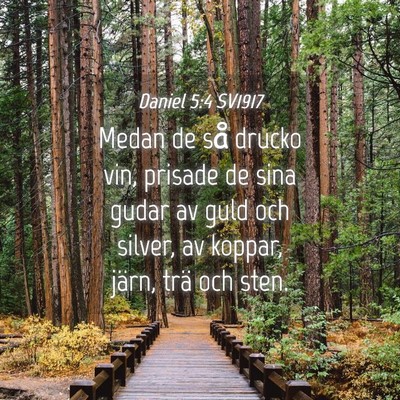 Picture 04 - Daniel 5:4 SV1917 - Medan de så drucko vin, prisade de sina gudar av - Bible Verse Picture