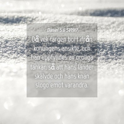 Picture 04 - Daniel 5:6 SV1917 - Då vek färgen bort ifrån konungens ansikte, - Bible Verse Picture