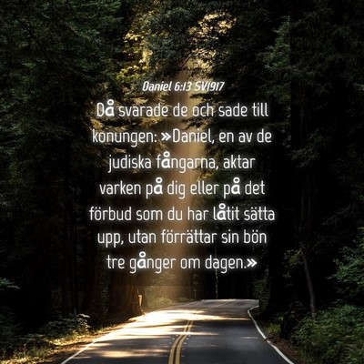 Picture 04 - Daniel 6:13 SV1917 - Då svarade de och sade till konungen: »Daniel, - Bible Verse Picture