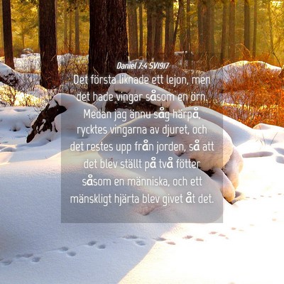 Picture 04 - Daniel 7:4 SV1917 - Det första liknade ett lejon, men det hade - Bible Verse Picture