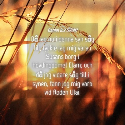 Picture 04 - Daniel 8:2 SV1917 - Då jag nu i denna syn såg till, tyckte jag mig - Bible Verse Picture