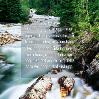 Picture 04 - Daniel 8:3 SV1917 - Och när jag lyfte upp mina ögon, fick jag se en - Bible Verse Picture