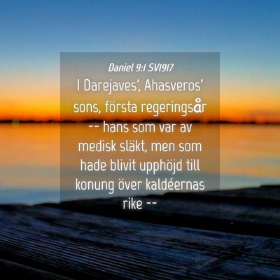 Picture 04 - Daniel 9:1 SV1917 - I Darejaves', Ahasveros' sons, första - Bible Verse Picture