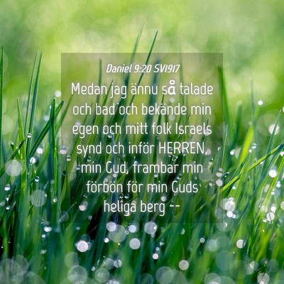 Picture 04 - Daniel 9:20 SV1917 - Medan jag ännu så talade och bad och bekände - Bible Verse Picture
