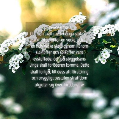 Picture 04 - Daniel 9:27 SV1917 - Och han skall med många sluta ett starkt - Bible Verse Picture