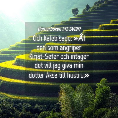 Picture 04 - Domarboken 1:12 SV1917 - Och Kaleb sade: »Åt den som angriper - Bible Verse Picture