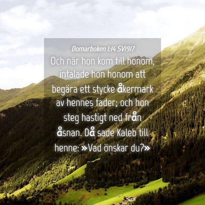 Picture 04 - Domarboken 1:14 SV1917 - Och när hon kom till honom, intalade hon honom - Bible Verse Picture