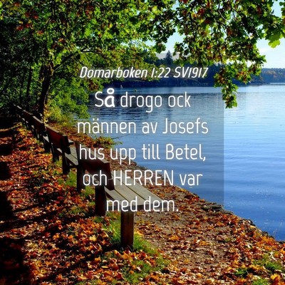 Picture 04 - Domarboken 1:22 SV1917 - Så drogo ock männen av Josefs hus upp till - Bible Verse Picture