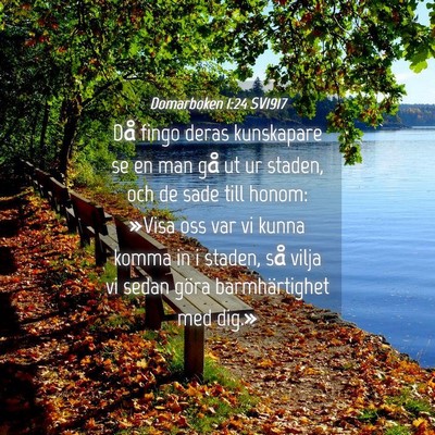Picture 04 - Domarboken 1:24 SV1917 - Då fingo deras kunskapare se en man gå ut ur - Bible Verse Picture