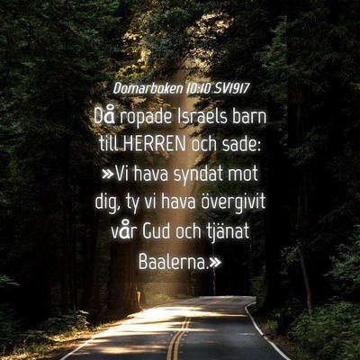 Picture 04 - Domarboken 10:10 SV1917 - Då ropade Israels barn till HERREN och sade: - Bible Verse Picture