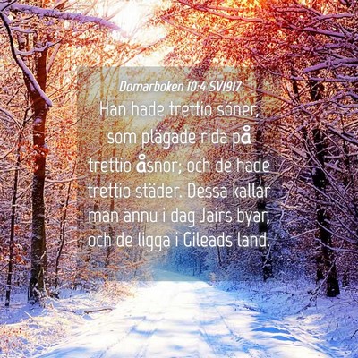 Picture 04 - Domarboken 10:4 SV1917 - Han hade trettio söner, som plägade rida på - Bible Verse Picture