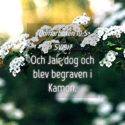 Picture 04 - Domarboken 10:5 SV1917 - Och Jair dog och blev begraven i - Bible Verse Picture