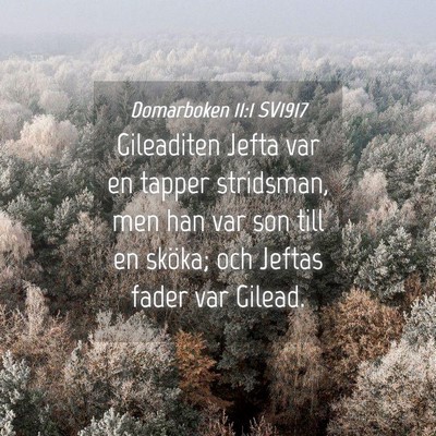 Picture 04 - Domarboken 11:1 SV1917 - Gileaditen Jefta var en tapper stridsman, men han - Bible Verse Picture