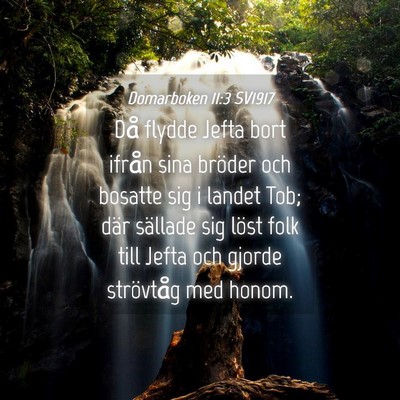 Picture 04 - Domarboken 11:3 SV1917 - Då flydde Jefta bort ifrån sina bröder och - Bible Verse Picture