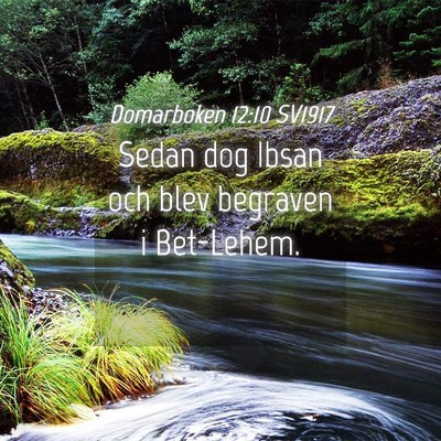 Picture 04 - Domarboken 12:10 SV1917 - Sedan dog Ibsan och blev begraven i - Bible Verse Picture