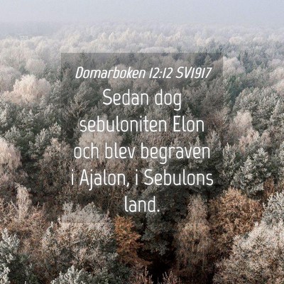 Picture 04 - Domarboken 12:12 SV1917 - Sedan dog sebuloniten Elon och blev begraven i - Bible Verse Picture