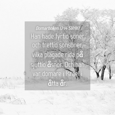 Picture 04 - Domarboken 12:14 SV1917 - Han hade fyrtio söner och trettio sonsöner, - Bible Verse Picture