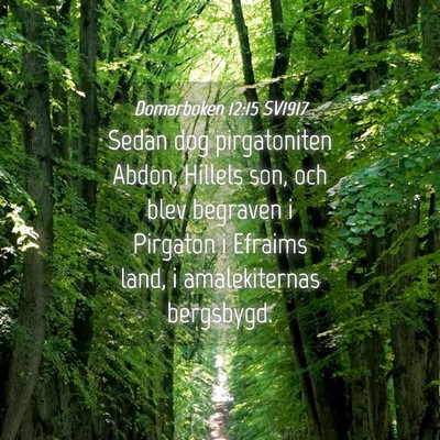 Picture 04 - Domarboken 12:15 SV1917 - Sedan dog pirgatoniten Abdon, Hillels son, och - Bible Verse Picture