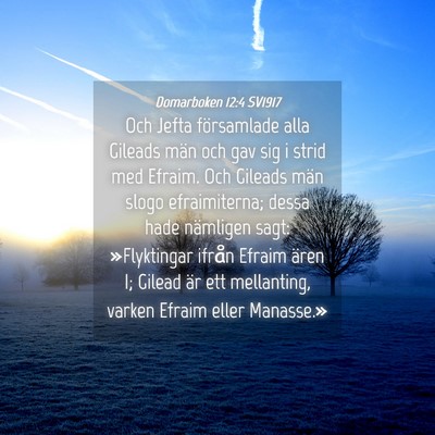 Picture 04 - Domarboken 12:4 SV1917 - Och Jefta församlade alla Gileads män och gav - Bible Verse Picture