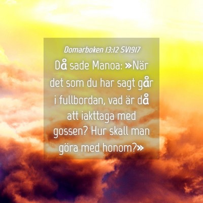 Picture 04 - Domarboken 13:12 SV1917 - Då sade Manoa: »När det som du har sagt går i - Bible Verse Picture