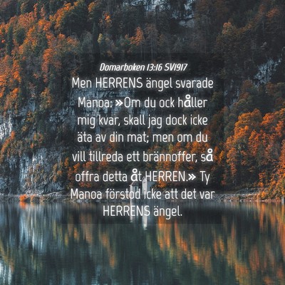 Picture 04 - Domarboken 13:16 SV1917 - Men HERRENS ängel svarade Manoa: »Om du ock - Bible Verse Picture