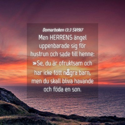 Picture 04 - Domarboken 13:3 SV1917 - Men HERRENS ängel uppenbarade sig för hustrun - Bible Verse Picture