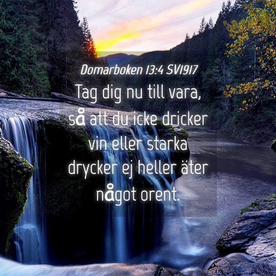 Picture 04 - Domarboken 13:4 SV1917 - Tag dig nu till vara, så att du icke dricker vin - Bible Verse Picture