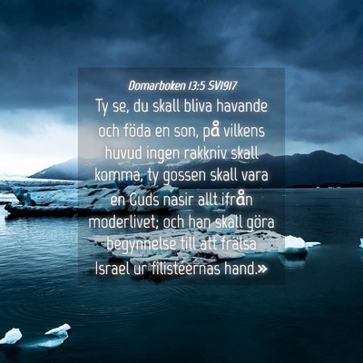Picture 04 - Domarboken 13:5 SV1917 - Ty se, du skall bliva havande och föda en son, - Bible Verse Picture