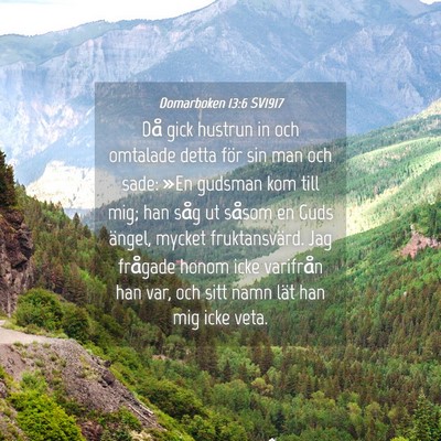 Picture 04 - Domarboken 13:6 SV1917 - Då gick hustrun in och omtalade detta för sin - Bible Verse Picture