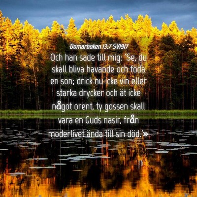 Picture 04 - Domarboken 13:7 SV1917 - Och han sade till mig: 'Se, du skall bliva - Bible Verse Picture