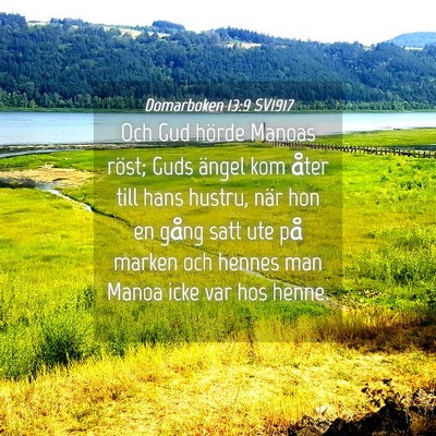 Picture 04 - Domarboken 13:9 SV1917 - Och Gud hörde Manoas röst; Guds ängel kom - Bible Verse Picture