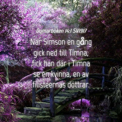 Picture 04 - Domarboken 14:1 SV1917 - När Simson en gång gick ned till Timna, fick - Bible Verse Picture