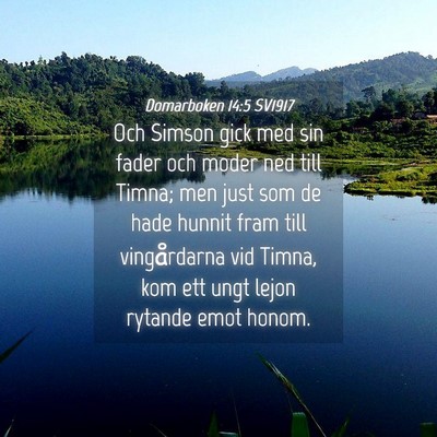 Picture 04 - Domarboken 14:5 SV1917 - Och Simson gick med sin fader och moder ned till - Bible Verse Picture