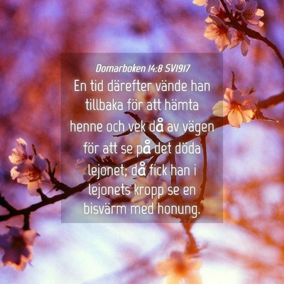 Picture 04 - Domarboken 14:8 SV1917 - En tid därefter vände han tillbaka för att - Bible Verse Picture