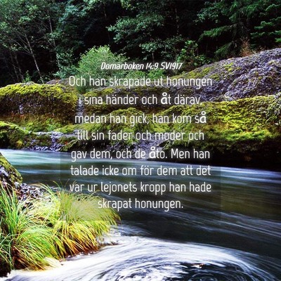 Picture 04 - Domarboken 14:9 SV1917 - Och han skrapade ut honungen i sina händer och - Bible Verse Picture