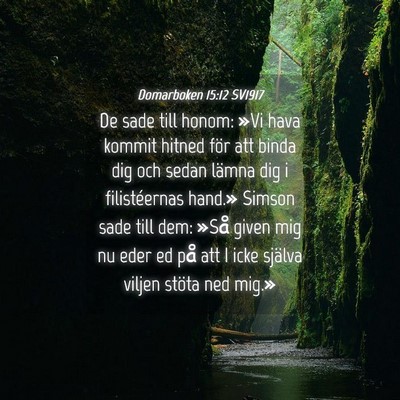 Picture 04 - Domarboken 15:12 SV1917 - De sade till honom: »Vi hava kommit hitned för - Bible Verse Picture