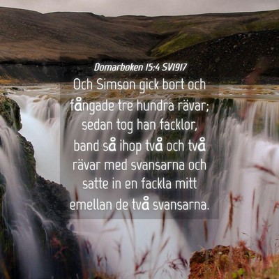 Picture 04 - Domarboken 15:4 SV1917 - Och Simson gick bort och fångade tre hundra - Bible Verse Picture