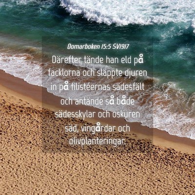 Picture 04 - Domarboken 15:5 SV1917 - Därefter tände han eld på facklorna och - Bible Verse Picture