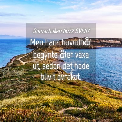 Picture 04 - Domarboken 16:22 SV1917 - Men hans huvudhår begynte åter växa ut, sedan - Bible Verse Picture