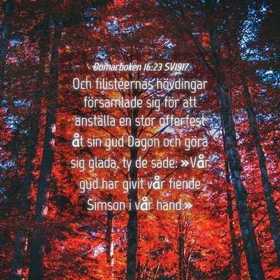 Picture 04 - Domarboken 16:23 SV1917 - Och filistéernas hövdingar församlade sig för - Bible Verse Picture