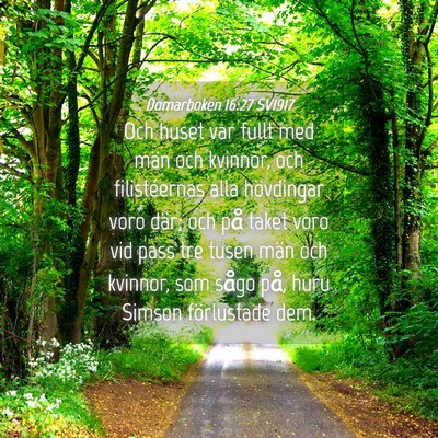 Picture 04 - Domarboken 16:27 SV1917 - Och huset var fullt med män och kvinnor, och - Bible Verse Picture