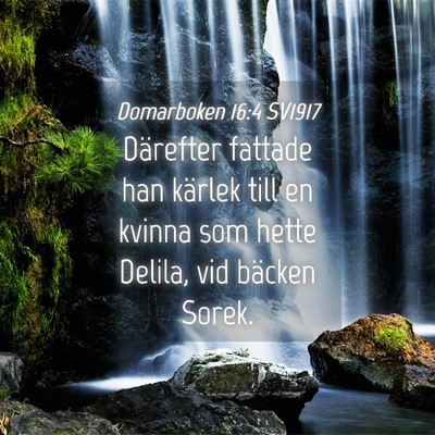 Picture 04 - Domarboken 16:4 SV1917 - Därefter fattade han kärlek till en kvinna som - Bible Verse Picture