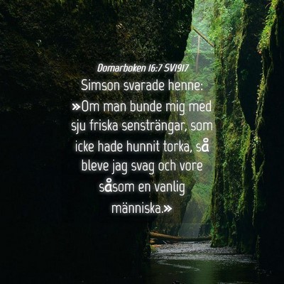 Picture 04 - Domarboken 16:7 SV1917 - Simson svarade henne: »Om man bunde mig med sju - Bible Verse Picture