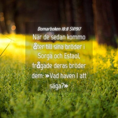 Picture 04 - Domarboken 18:8 SV1917 - När de sedan kommo åter till sina bröder i - Bible Verse Picture