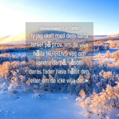 Picture 04 - Domarboken 2:22 SV1917 - ty jag skall med dem sätta Israel på prov, om - Bible Verse Picture