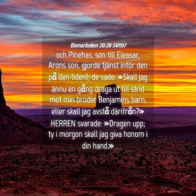 Picture 04 - Domarboken 20:28 SV1917 - och Pinehas, son till Eleasar, Arons son, gjorde - Bible Verse Picture