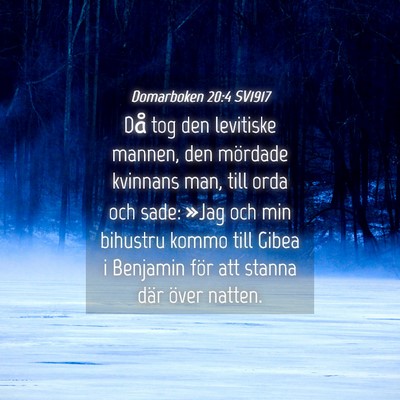 Picture 04 - Domarboken 20:4 SV1917 - Då tog den levitiske mannen, den mördade - Bible Verse Picture
