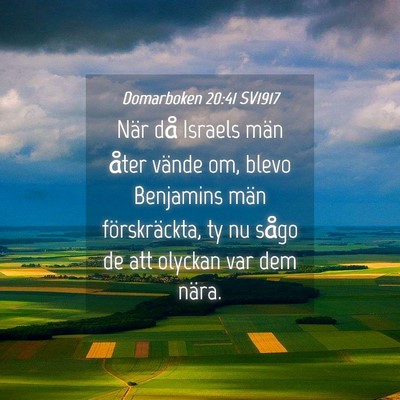 Picture 04 - Domarboken 20:41 SV1917 - När då Israels män åter vände om, blevo - Bible Verse Picture